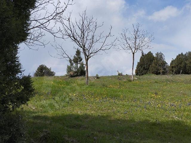 Safranbolu, Karabük içerisinde satılık Arsa