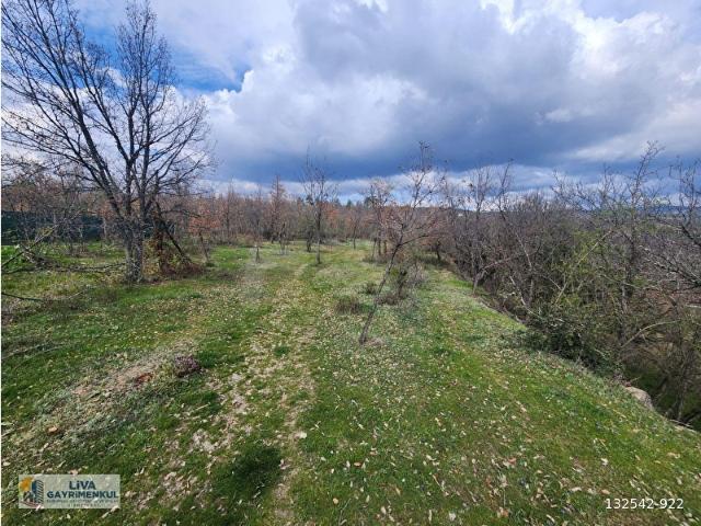 Safranbolu, Karabük içerisinde satılık mülk