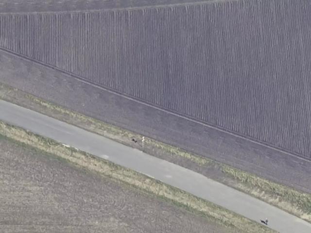 Erhvervsejendom til leje i Aalborg, Brønderslev-Dronninglund