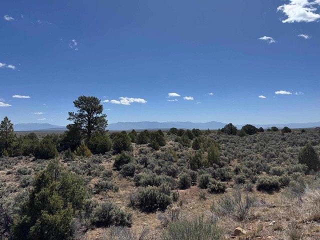 Land for sale in Tres Piedras, New Mexico