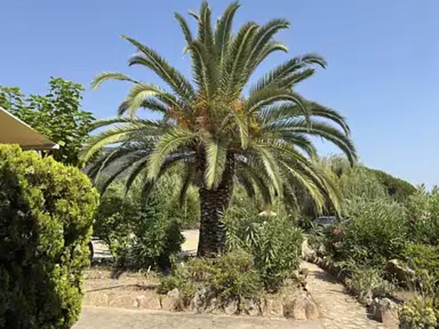 Appartement vente à Ajaccio, Coggia