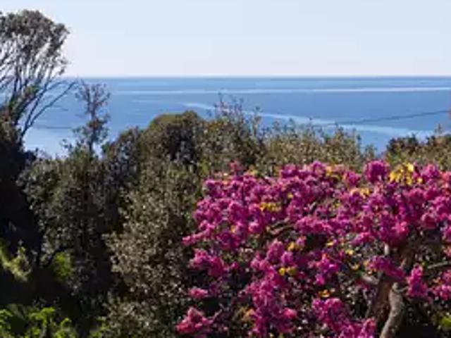 Maison vente à Ajaccio, Coggia