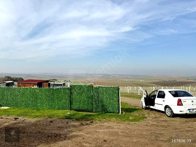 Çeşmeli Mahallesi, Marmaraereğlisi içerisinde satılık Arsa