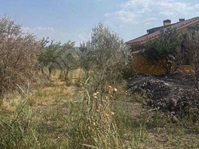 Dikili, İzmir içerisinde satılık Arsa