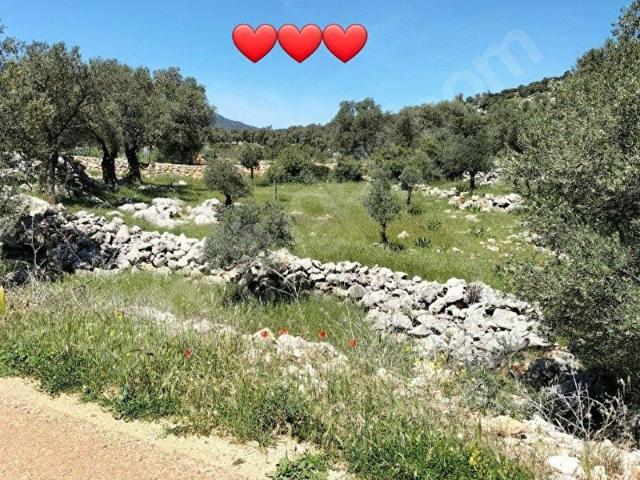 Kaş, Antalya içerisinde satılık Arsa