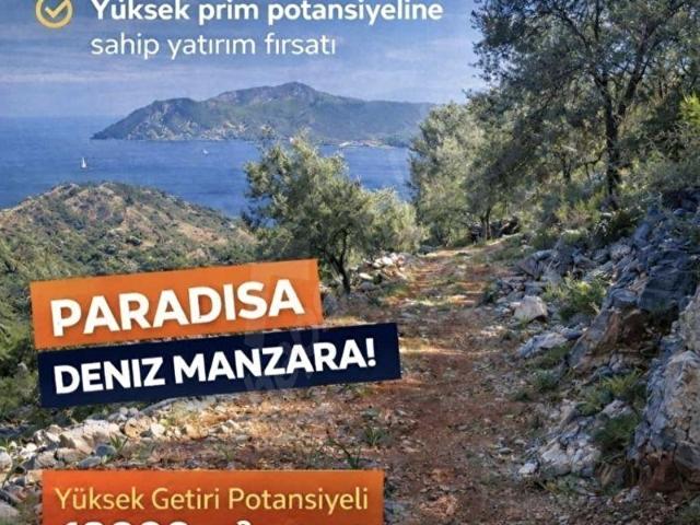 Dalaman, Muğla içerisinde satılık mülk