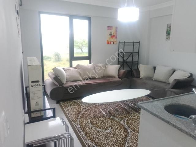 Düzce Merkez, Düzce içerisinde kiralık mülk