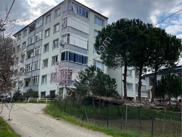 Yalova Merkez, Yalova içerisinde kiralık mülk