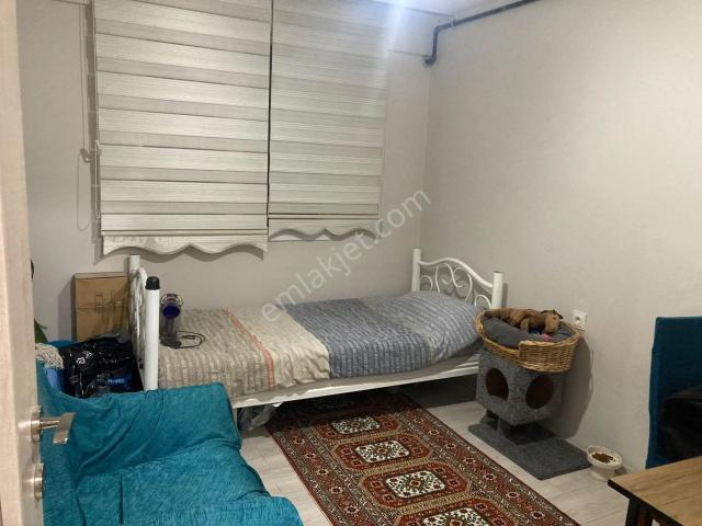 Adnan Menderes Mahallesi, Efeler içerisinde kiralık mülk