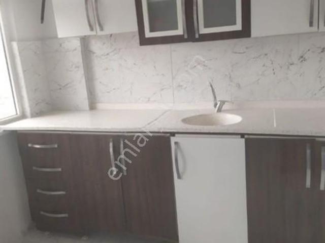 Kuyumcuoğlu, Asarcık içerisinde kiralık mülk