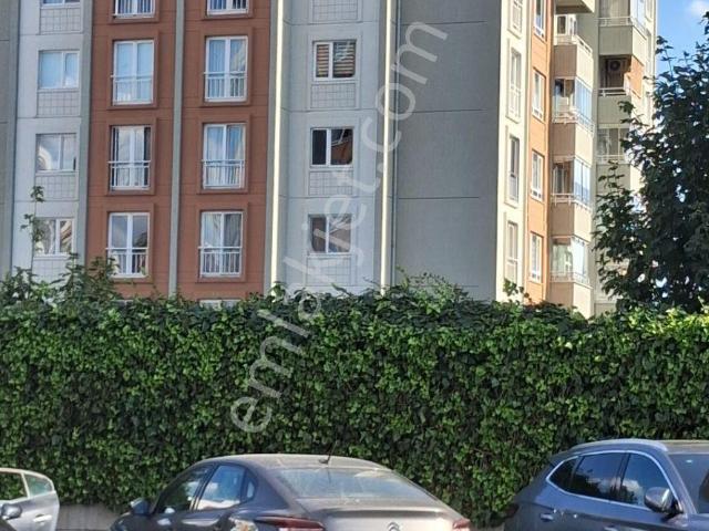 Soyak Olimpiakent, Küçükçekmece içerisinde kiralık mülk
