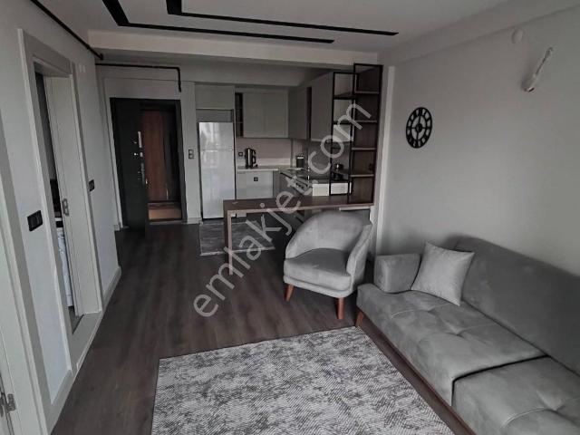 Edirne Merkez, Edirne içerisinde kiralık mülk