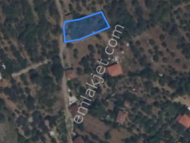 Karacasu, Aydin içerisinde satılık mülk