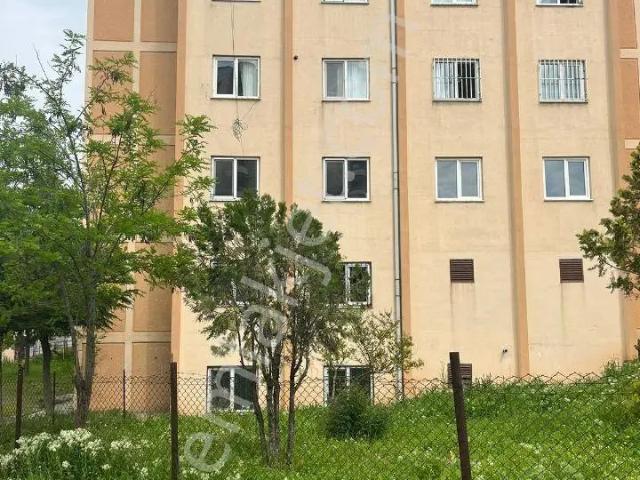 Batman Merkez, Batman içerisinde kiralık mülk