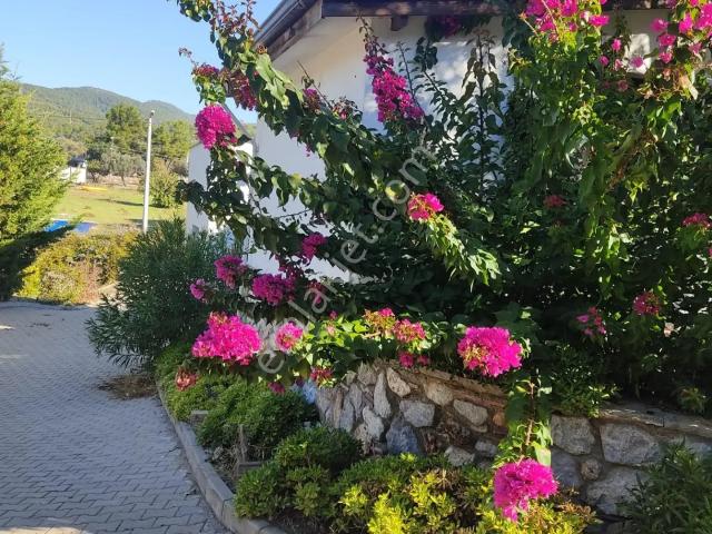 Yalı, Bodrum içerisinde kiralık Villa