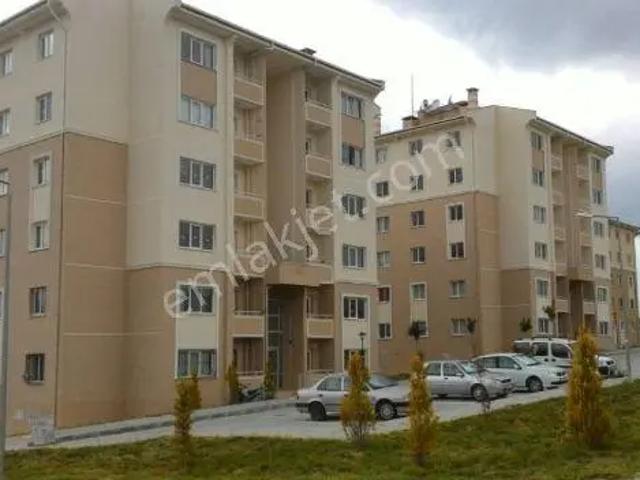 Çavdır, Çavdir içerisinde kiralık mülk