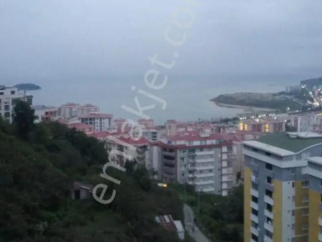 Gedikkaya, Giresun Merkez içerisinde kiralık mülk