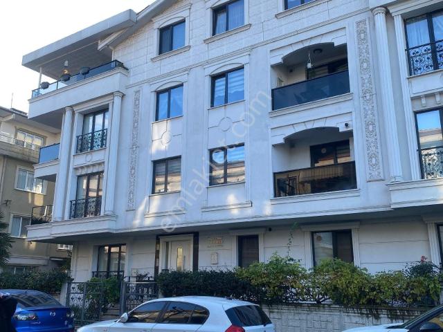 Yalova Merkez, Yalova içerisinde kiralık mülk