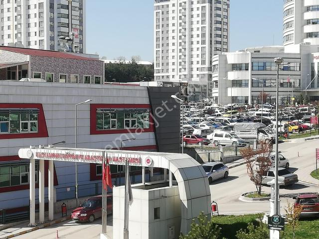 Kastamonu Merkez, Kastamonu içerisinde kiralık mülk