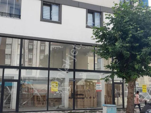 Tokat Merkez, Tokat içerisinde kiralık mülk