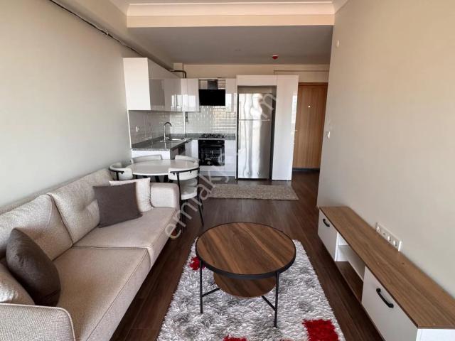 Pendik, İstanbul içerisinde kiralık mülk