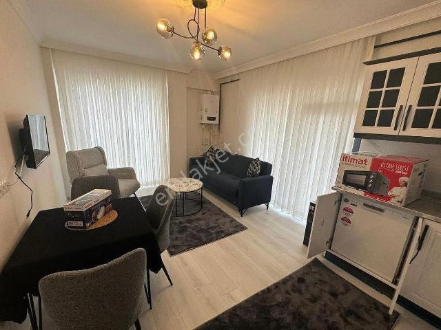 Aydın Merkez, Aydin içerisinde kiralık mülk