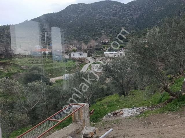 Yenipazar, Aydin içerisinde satılık Bahce kati