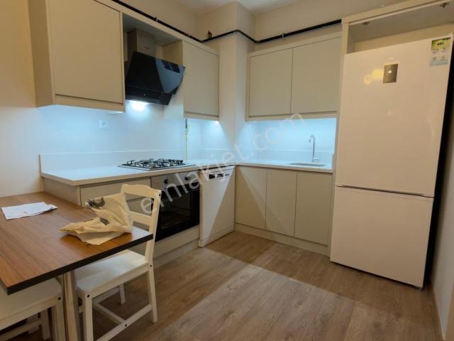Ordu içerisinde kiralık mülk