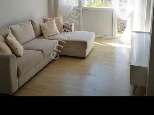 İstanbul Merkez, İstanbul içerisinde kiralık mülk
