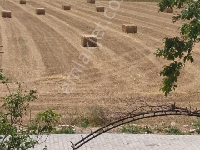 Ula, Muğla içerisinde kiralık mülk