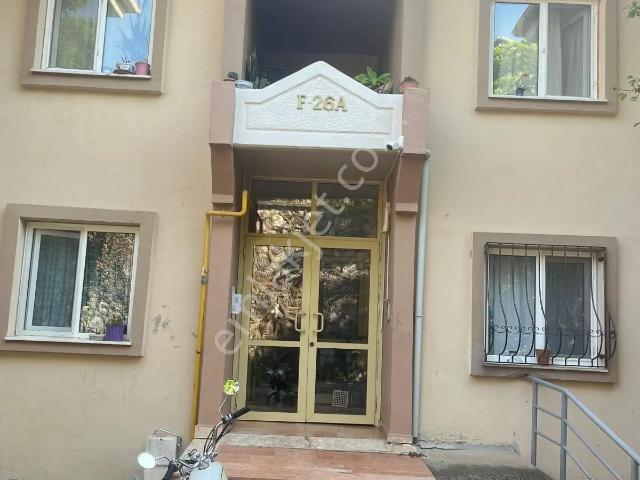 Gölcük, Kocaeli içerisinde kiralık mülk
