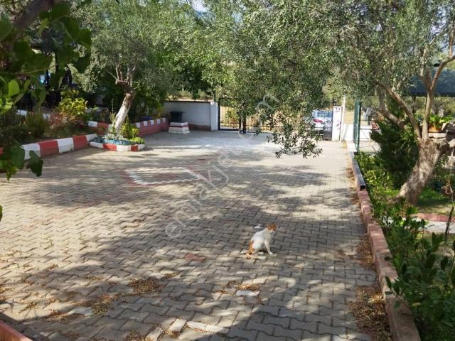 Edremit, Balikesir içerisinde kiralık Villa