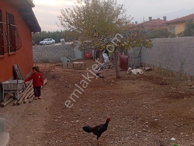 Hassa, Hatay içerisinde satılık mülk