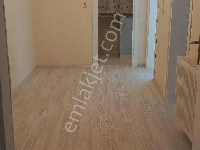 Zonguldak Merkez, Zonguldak içerisinde kiralık mülk