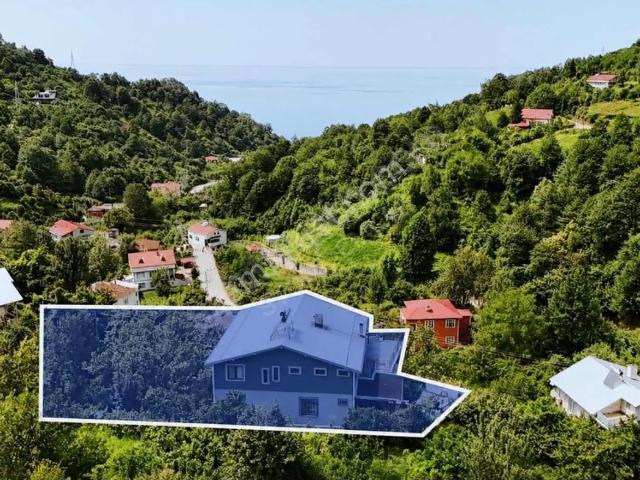 Esenkıyı, Hopa içerisinde satılık mülk