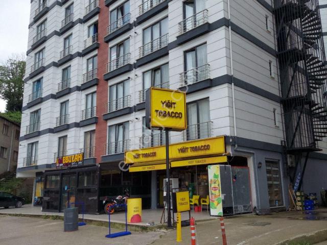 Zonguldak Merkez, Zonguldak içerisinde kiralık mülk