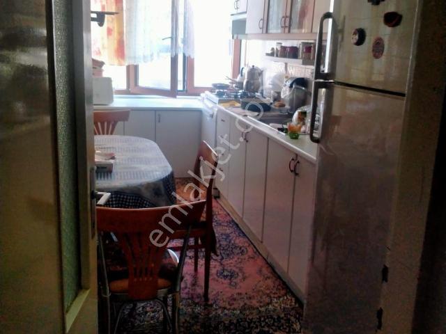 Yalova Merkez, Yalova içerisinde kiralık mülk