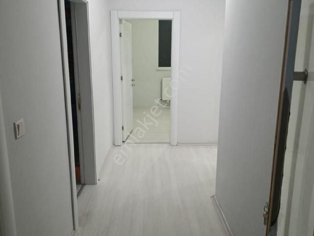Kars Merkez, Kars içerisinde kiralık mülk