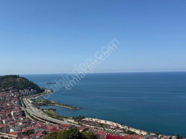 Gedikkaya, Giresun Merkez içerisinde satılık mülk