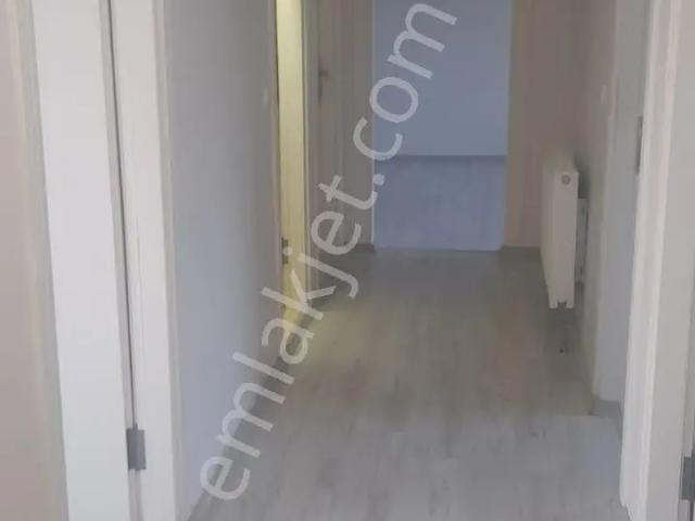 Ereğli, Zonguldak içerisinde kiralık mülk
