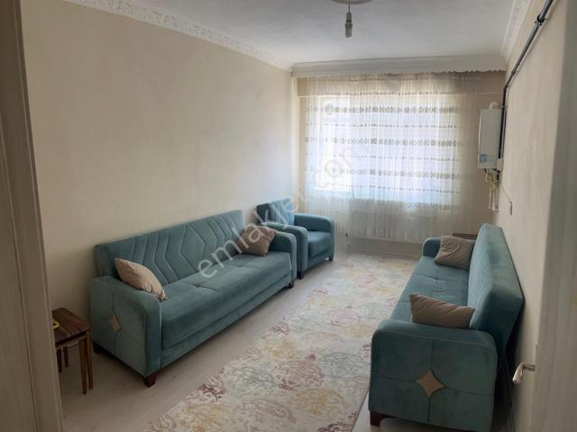 Iğdır Merkez, Iğdir içerisinde kiralık mülk