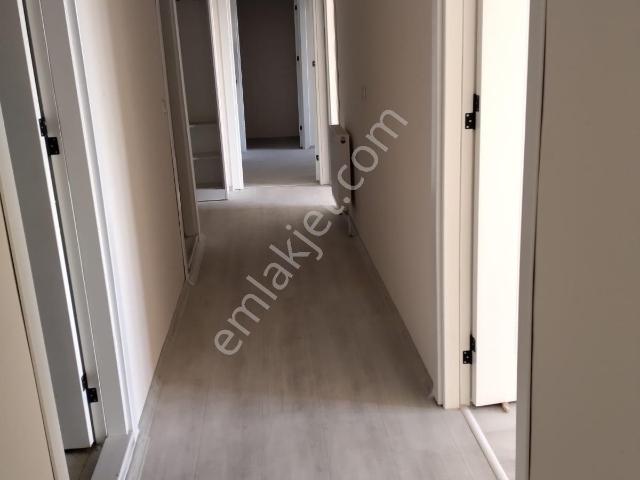 Ereğli, Konya içerisinde kiralık mülk