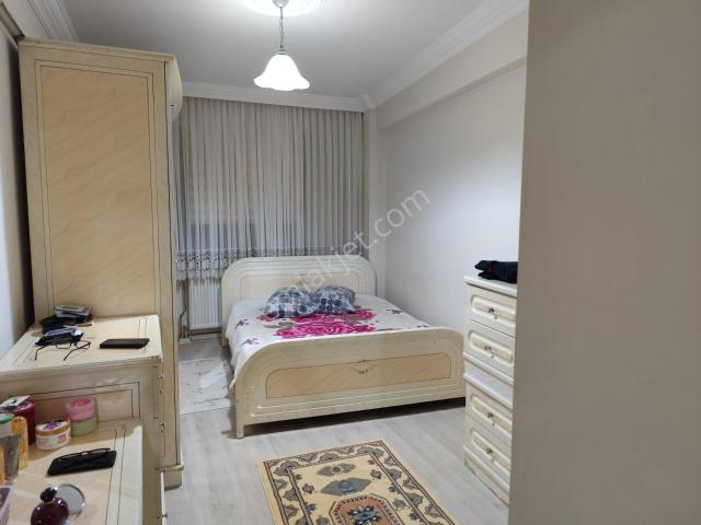 Tokat Merkez, Tokat içerisinde kiralık mülk