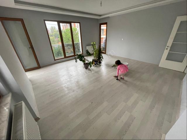 Yalova Merkez, Yalova içerisinde kiralık mülk