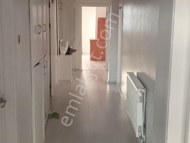 Üniversite Mahallesi, Elâzığ Merkez içerisinde kiralık mülk