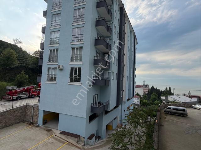 Rize içerisinde kiralık mülk