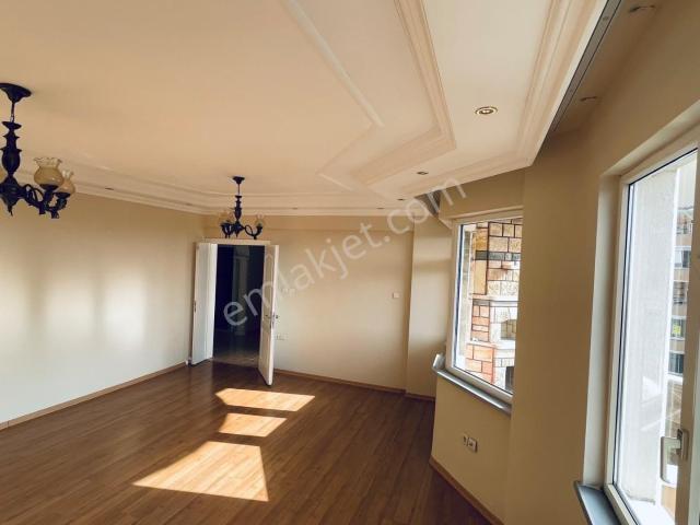 Edirne Merkez, Edirne içerisinde kiralık mülk