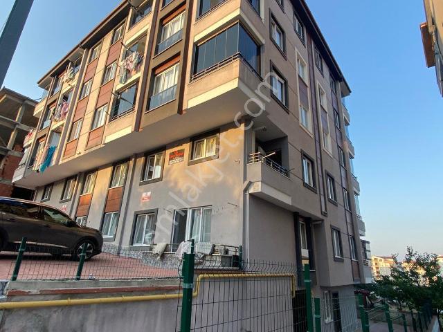 Gerze, Sinop içerisinde kiralık mülk