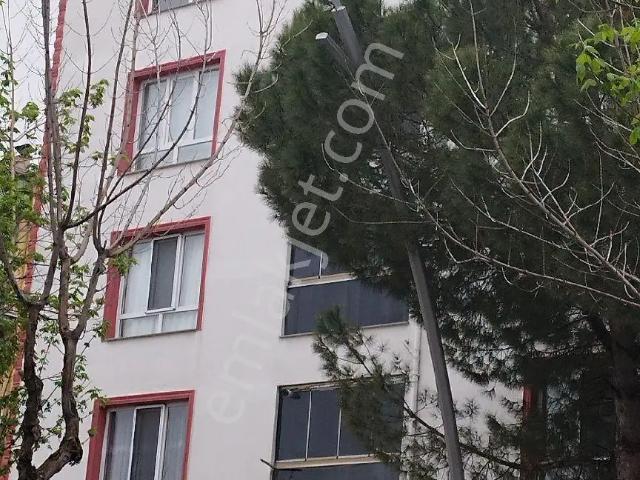 Uşak Merkez, Uşak içerisinde kiralık mülk