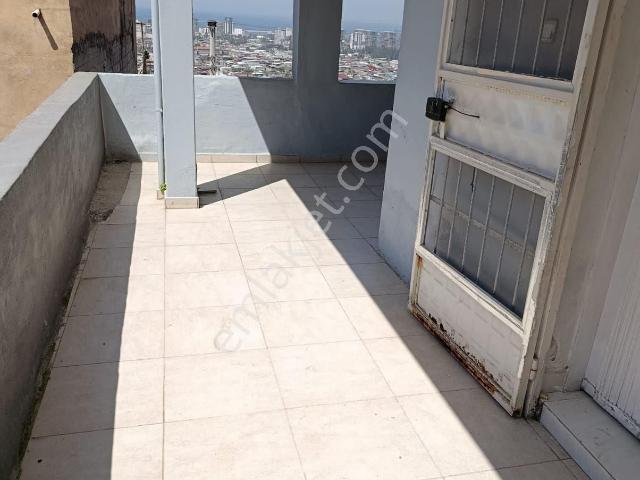 İskenderun, Hatay içerisinde kiralık mülk